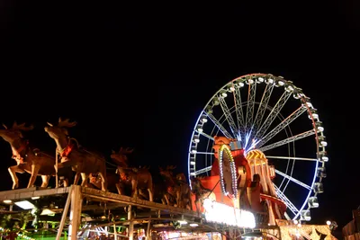 DSC_5567 (Large).JPG